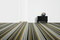 Botanic | Bolon