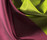 Gro Curtain fabric | FANNY ARONSEN