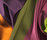 Gro Curtain fabric | FANNY ARONSEN
