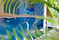 Swimming Pools | Hisbalit
