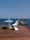 Vertex | Vondom