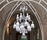 Solstice | Baccarat