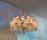 Zenith | Baccarat