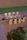 D-Lux | Royal Botania