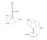 Molecular Light | next