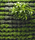 Moving Hedge | Greenworks