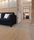 Classic Coniferas | Admonter