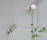 DECO LINE | Brugg Lifting