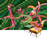Elettra | ARFLEX