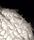 Veli | Slamp
