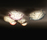 Veli | Slamp