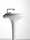Istanbul | VitrA Bad