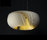Moonjelly WHITE | Limpalux