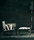HARP | Roda