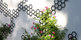 Comb-ination | FLORA