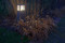 7015 | Hellux