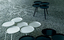 Bolle | Living Divani