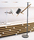 Scantling | Marset