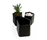 Rock Garden | Qui est Paul?