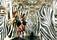 Zebra | Viso