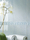 Splendida | Fap Ceramiche