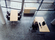 activation | Sedus Stoll