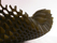 Black Honey.MGX | .MGX by Materialise