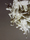Damned.MGX | .MGX by Materialise