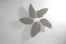 Konoha | Sancal