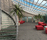 Superior | Siller Treppen