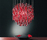 Aura | Axo Light