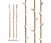 Bamboo | Cascando