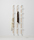 Bamboo | Cascando