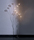 Bubbles | HARCO LOOR