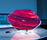 Argo - table lamp | A.V. Mazzega