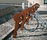 Chiave | Metalco