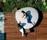 Moonstone | Metalco Home