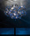 Tiara | HARCO LOOR