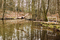 Divewood | Weltevree