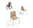 Ginger | Inclass