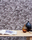Luxury Walls | Stone | Elitis