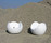 Blos | Blossy | Slide