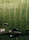 Mezclas | Amber Collection | Bisazza