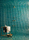Miscele | Aqua Collection | Bisazza