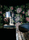 Springrose | Bisazza