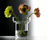 Vases | Auerberg
