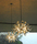 Blossom | Isabel Hamm