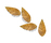 Boston Leaf | Deesawat