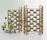 Green Wall | Deesawat