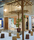 Nest Tree | Deesawat